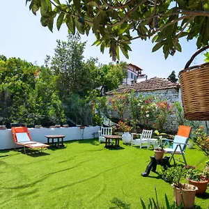 https://pela-veranda-exquisite-suites.hotelschalkidiki.net